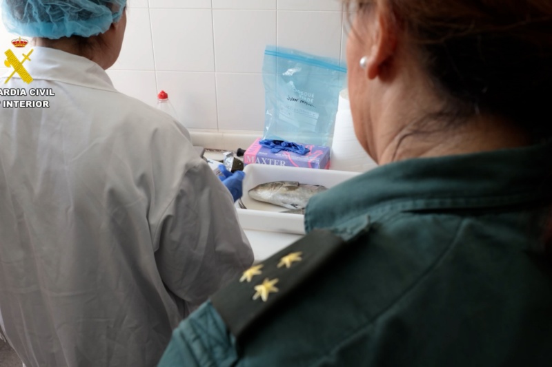 Un agente de la guardia civil y un técnico de laboratorio ante una intervención de lubinas robadas Un agente de la guardia civil y un técnico de laboratorio ante una intervención de lubinas robadas