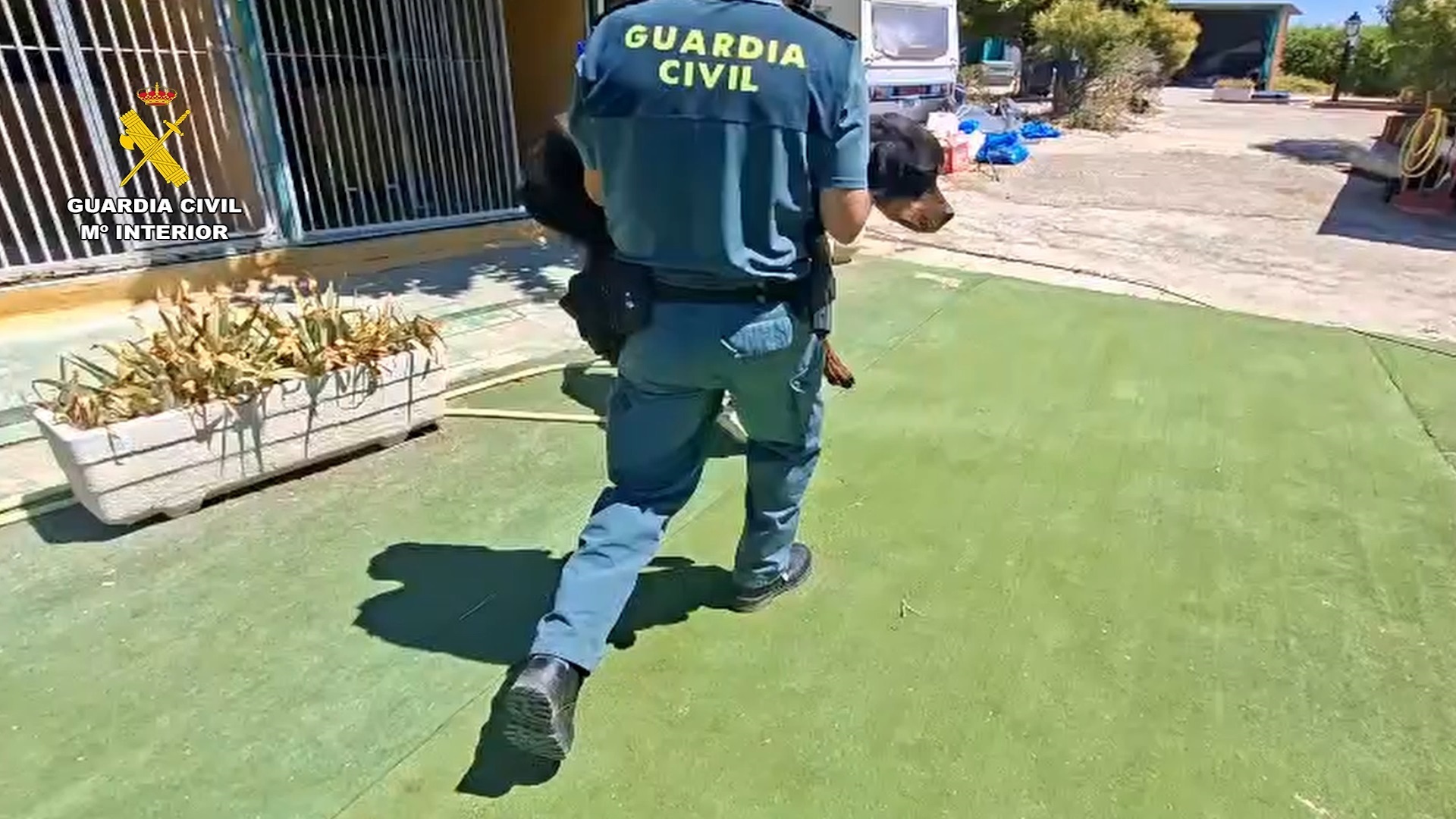 Guardia Civil trasladando a un perro
