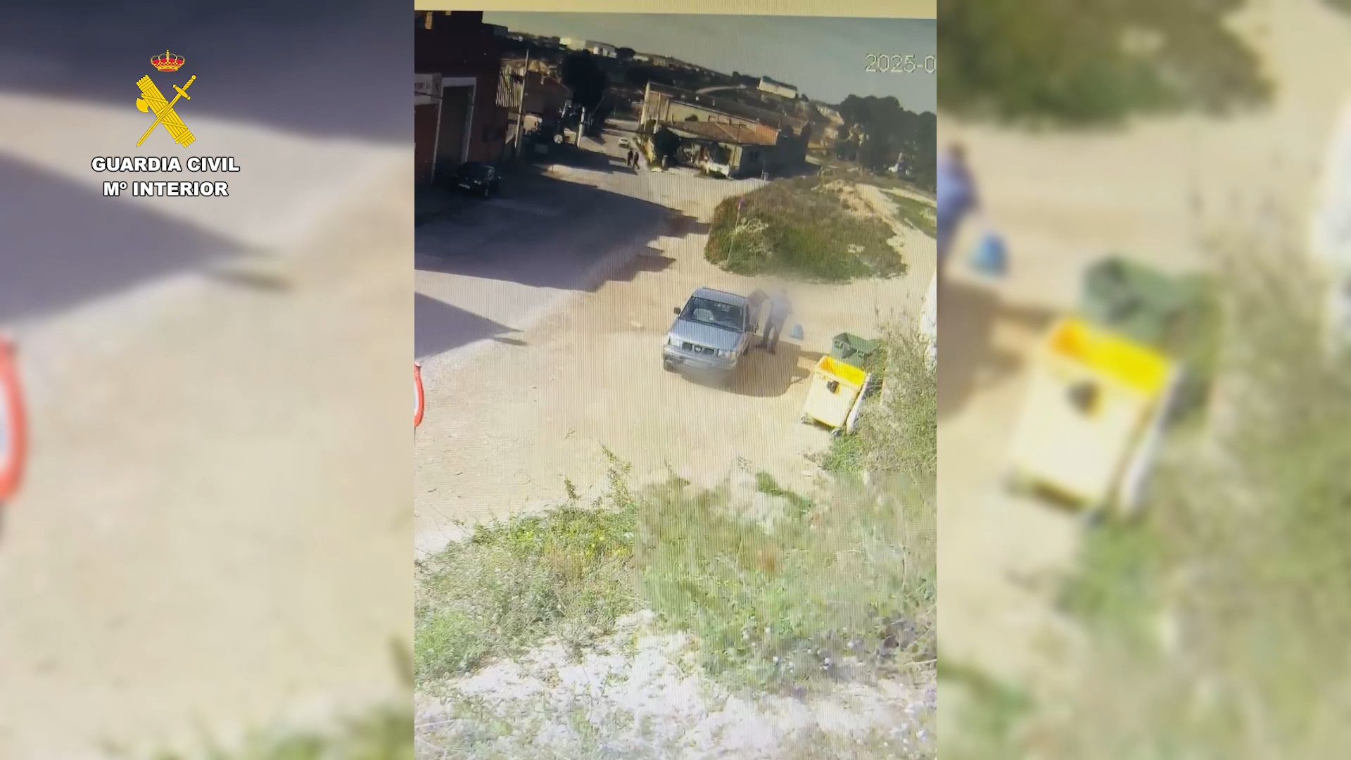 Un investigado en Zaragoza por tirar cuatro cachorros de perro a la basura