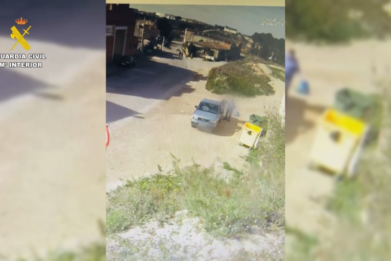 Un investigado en Zaragoza por tirar cuatro cachorros de perro a la basura