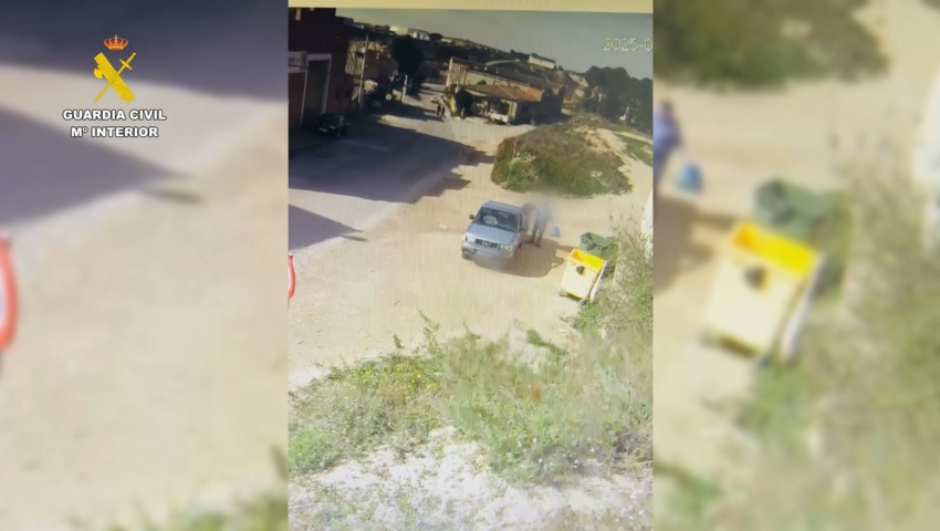 Un investigado en Zaragoza por tirar cuatro cachorros de perro a la basura