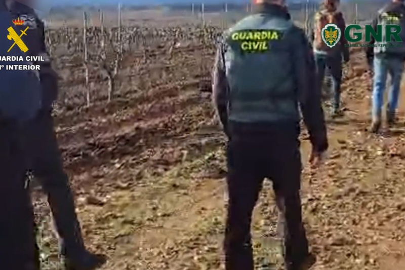 Agentes de la guardia civil en un campo
