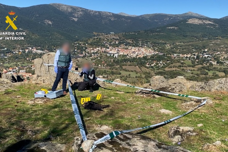 62 personas detenidas/investigadas en la última campaña nacional contra el uso de veneno y métodos de caza ilegales 62 personas detenidas/investigadas en la última campaña nacional contra el uso de veneno y métodos de caza ilegales