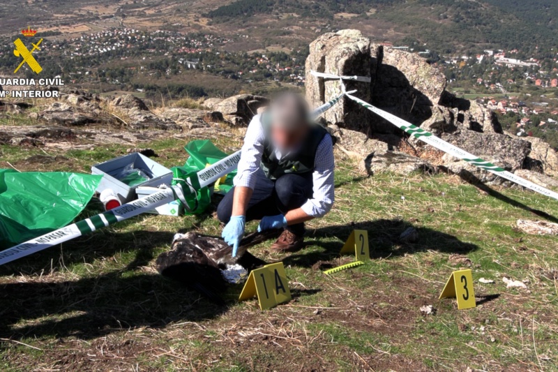 62 personas detenidas/investigadas en la última campaña nacional contra el uso de veneno y métodos de caza ilegales 62 personas detenidas/investigadas en la última campaña nacional contra el uso de veneno y métodos de caza ilegales