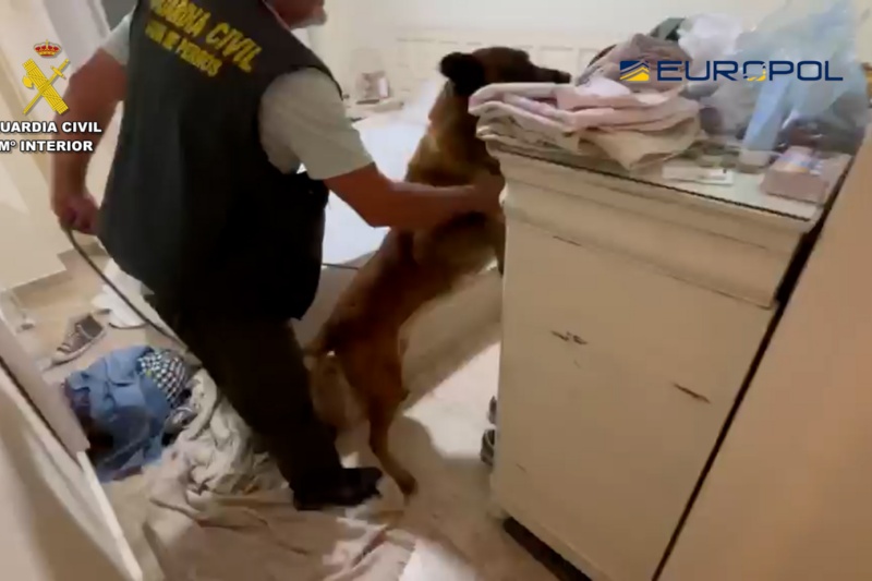 Registro con agente y perro