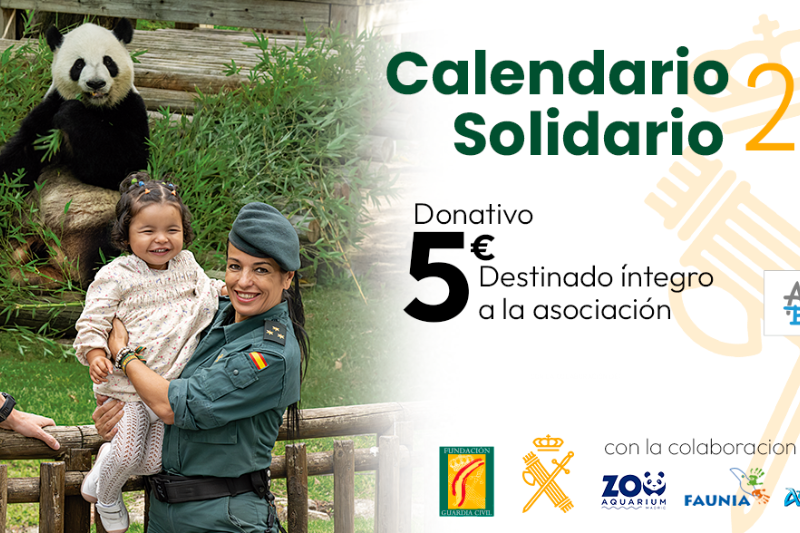 Calendario solidario GC 2026  1370x588