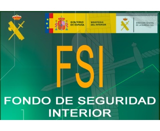 Financiación Europea, Gestión compartida, FSI