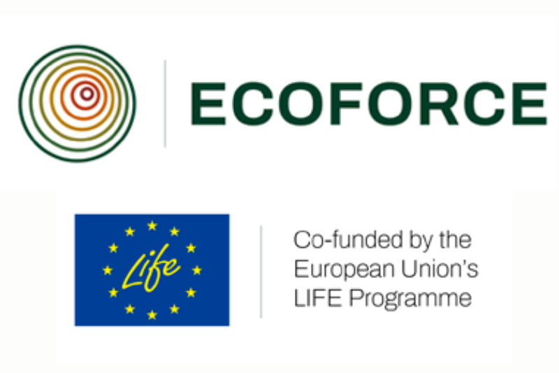 Programa Ecoforce Programa Ecoforce