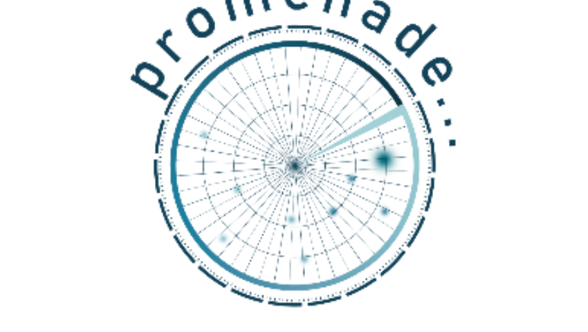 PROMENADE (SU-BES03-2018-2019-2020) – Jefatura Fiscal y de Fronteras