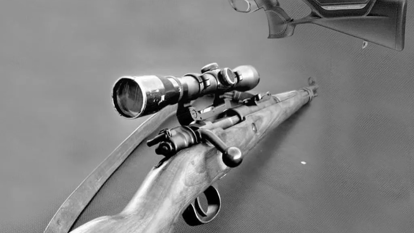 Solicitud de la licencia tipo D: armas largas rayadas para caza mayor