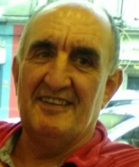 LARIZ IRIONDO