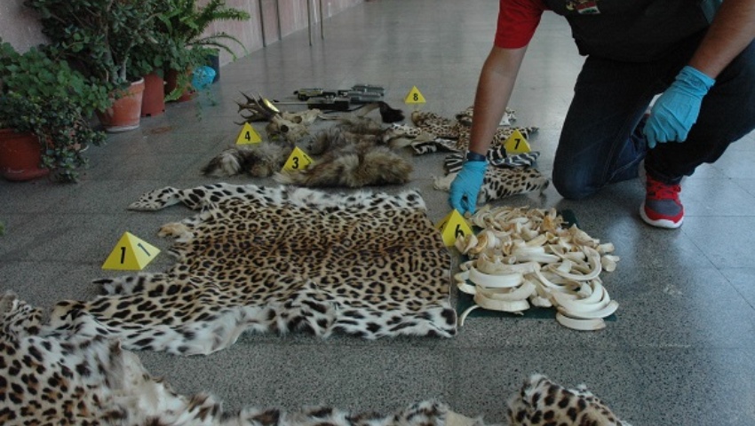 6 de septiembre de 2011. Creación de la Unidad Central Operativa de Medio Ambiente y la Unidad Adscrita a la Fiscalía Coordinadora de Medio Ambiente y...