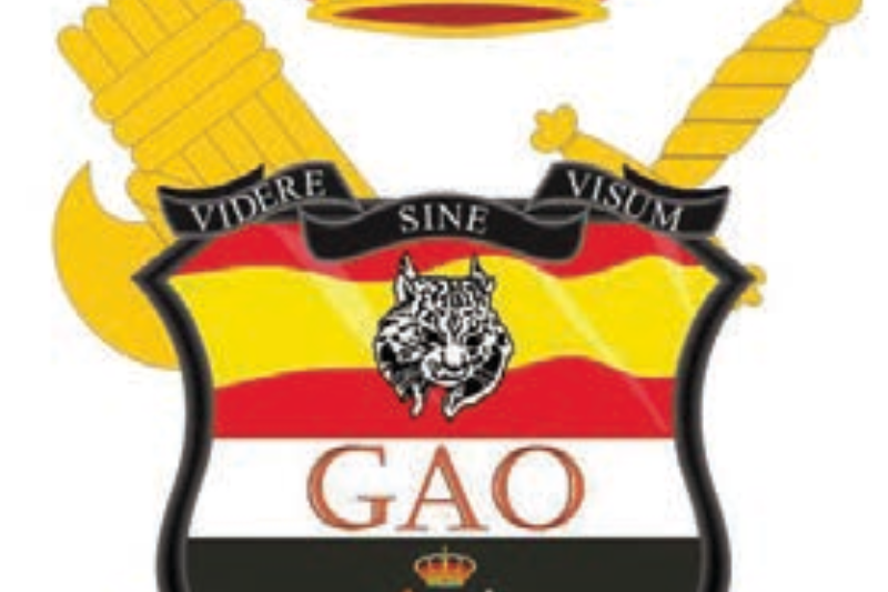 Escudo oficial para el guion del Grupo de Apoyo Operativo (GAO) de la Jefatura de Información de la Guardia Civil. Fuente: Boletín Oficial de la Guardia Civil.