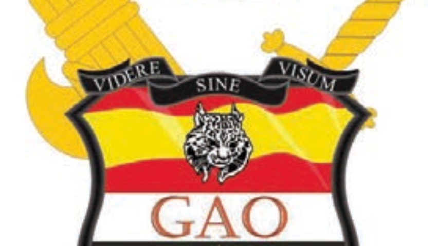 2 de noviembre de 1972. Creación del Grupo de Apoyo Operativo (GAO) de la Jefatura de Información