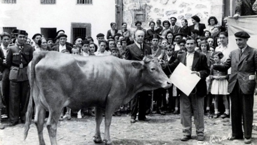 16 de febrero de 1873. Recuperación de ganado robado y posterior subasta