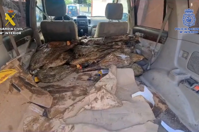 Desmantelada una banda de aluniceros por robar con fuerza armas, jamones y cigarrillos electrónicos en Sevilla