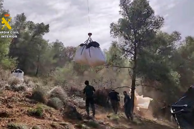 Nueve detenidos por deforestar dos hectáreas de un paraje natural en Málaga para plantar marihuana