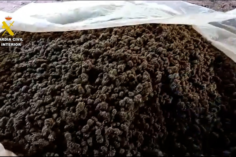 Nueve detenidos por deforestar dos hectáreas de un paraje natural en Málaga para plantar marihuana
