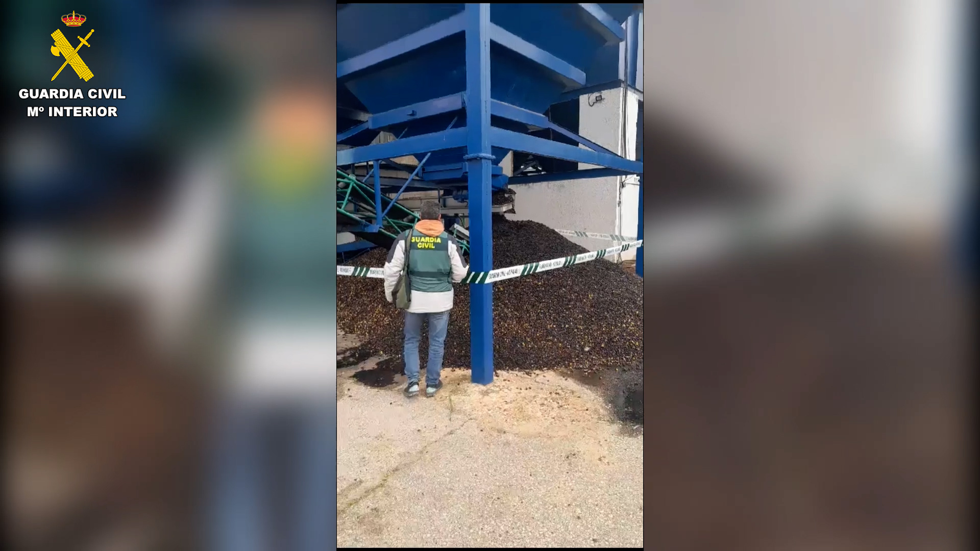 La Guardia Civil detiene en Sevilla a dos personas que estafaron a 18 agricultores en la compra de su aceituna