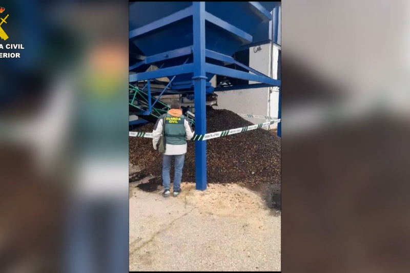 La Guardia Civil detiene en Sevilla a dos personas que estafaron a 18 agricultores en la compra de su aceituna