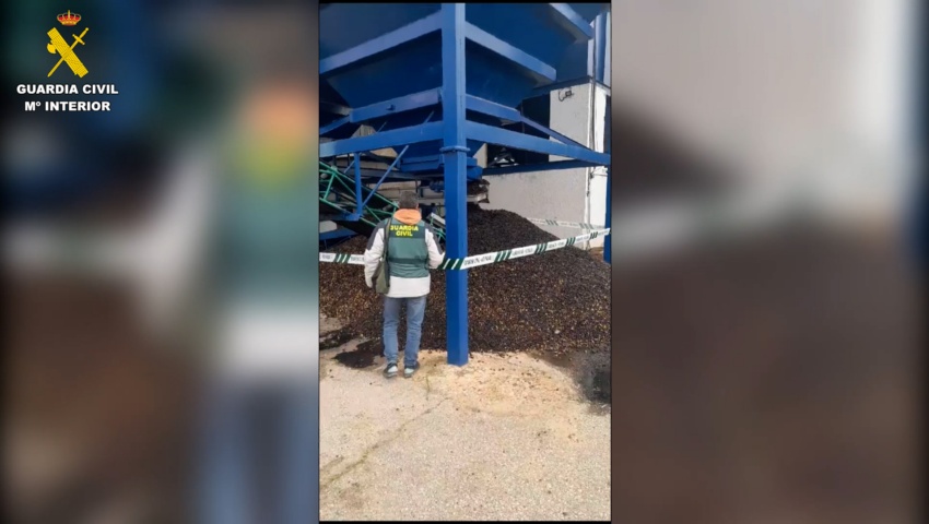 La Guardia Civil detiene en Sevilla a dos personas que estafaron a 18 agricultores en la compra de su aceituna