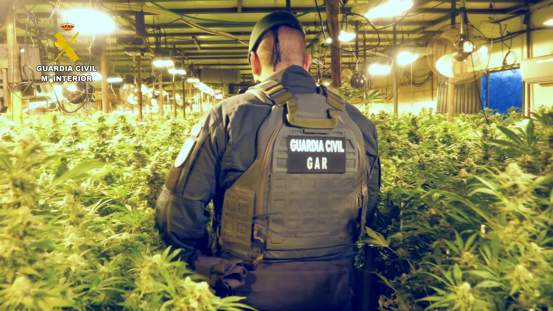 Doce detenidos en Sevilla por blanquear dinero procedente del tráfico de drogas