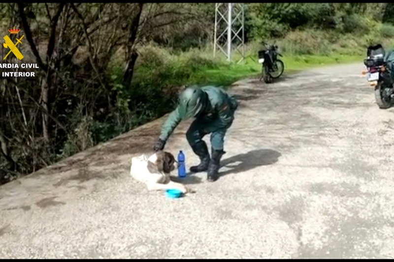 La Guardia Civil rescata a 111 animales en Málaga en una operación contra el maltrato y el abandono