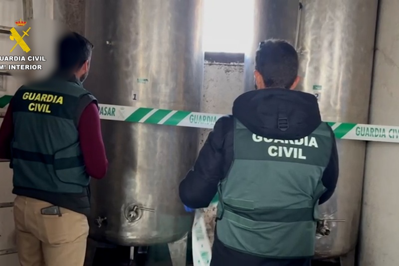 Detenidas seis personas por el hurto de más de 15 toneladas de aceituna en Madrid