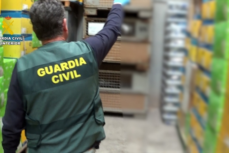 Desarticulada una organización criminal dedicada a la sustracción y distribución de faros y recambios de iluminación de vehículos