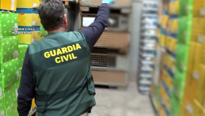 Desarticulada una organización criminal dedicada a la sustracción y distribución de faros y recambios de iluminación de vehículos