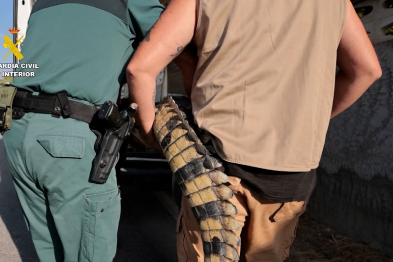 La Guardia Civil rescata varios animales protegidos