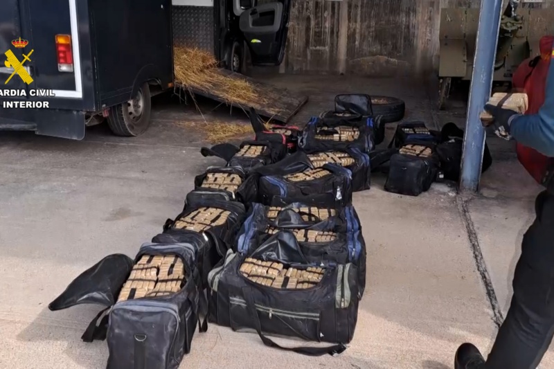 Desarticulada una organización criminal que utilizaba vehículos de transporte de caballos para traficar con droga desde Melilla a Europa