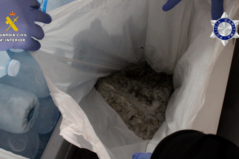 Incautados más de 800 kilos de angulas pescadas ilícitamente