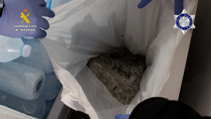 Incautados más de 800 kilos de angulas pescadas ilícitamente