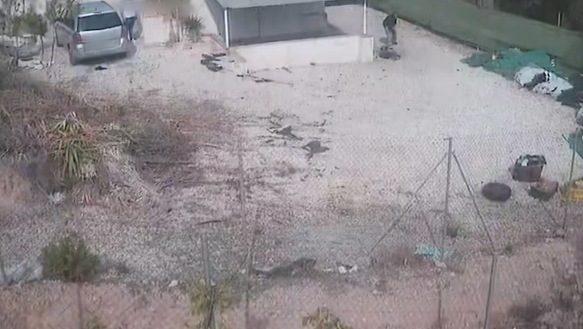 La Guardia Civil investiga a dos personas por maltrato animal en Calasparra (Murcia)