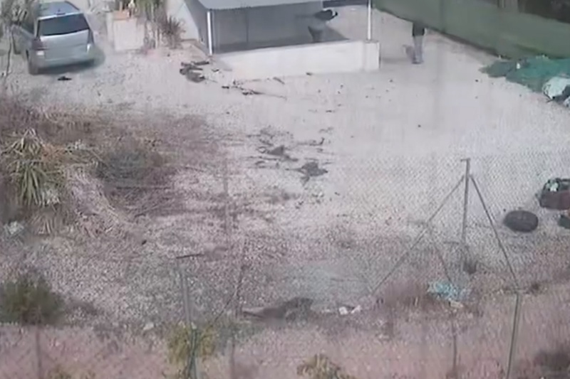 La Guardia Civil investiga a dos personas por maltrato animal en Calasparra (Murcia)