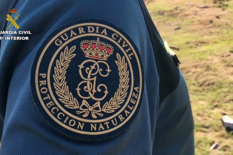 El SEPRONA duplica las actuaciones por delitos contra los recursos naturales y el medioambiente en los últimos 5 años