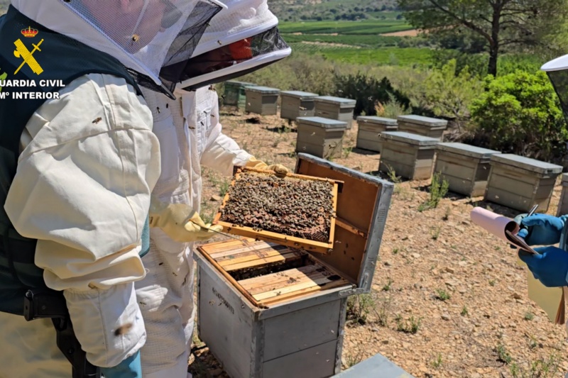 2024-08-03_Op_Matrihoney_02