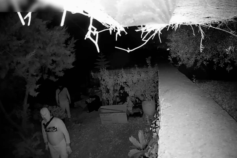 Detenida una banda de ladrones de viviendas de lujo en Ibiza