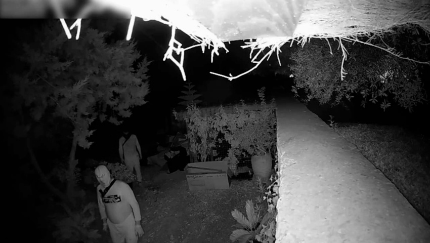 Detenida una banda de ladrones de viviendas de lujo en Ibiza