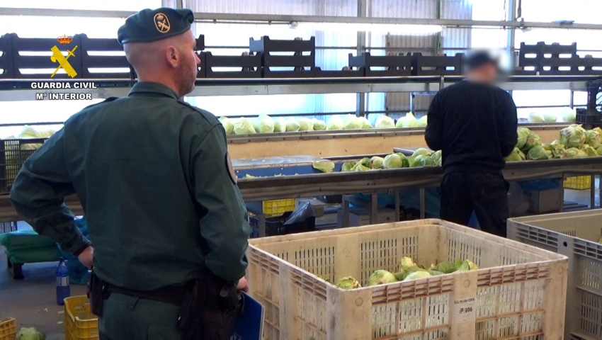 Desarticulado un grupo criminal que vendió dos millones de kilos de frutas y verduras como productos ecológicos