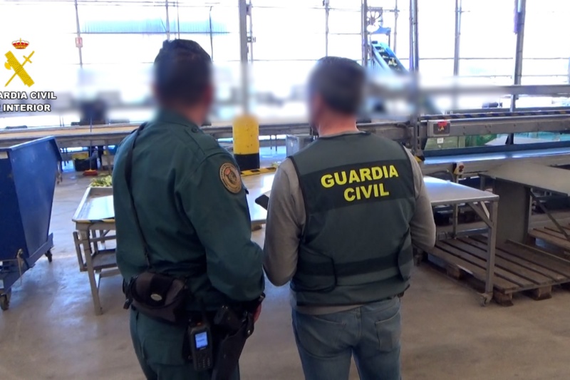 Desarticulado un grupo criminal que vendió dos millones de kilos de frutas y verduras como productos ecológicos