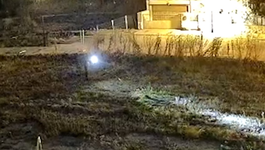 La Guardia Civil investiga a dos personas que disparaban a gatos en Valladolid