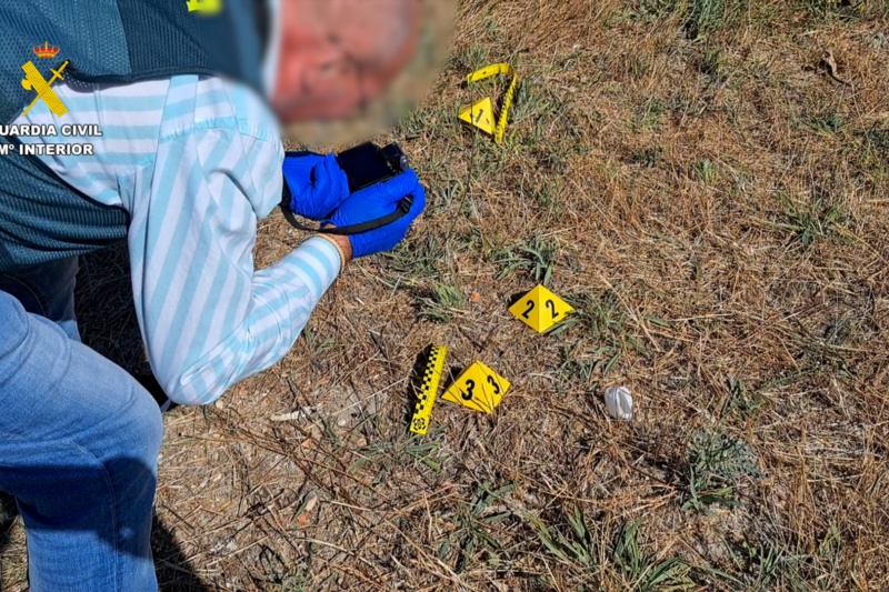 La Guardia Civil investiga a dos personas que disparaban a gatos en Valladolid