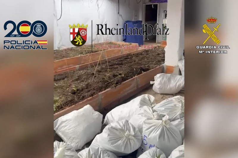 Detenidas 12 personas dedicadas al tráfico de anfetaminas, marihuana y hachís entre España y Alemania