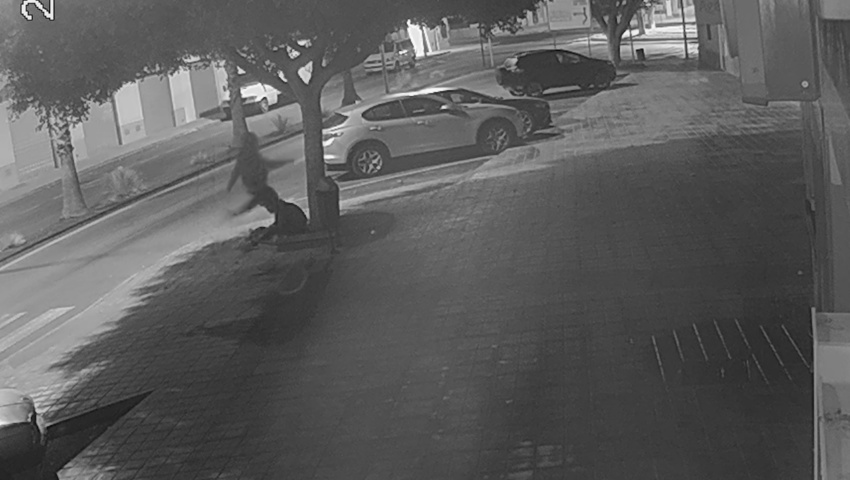 Detenidos dos jóvenes por causar la muerte de forma violenta de un hombre para robarle el móvil y la cartera en Níjar (Almería)