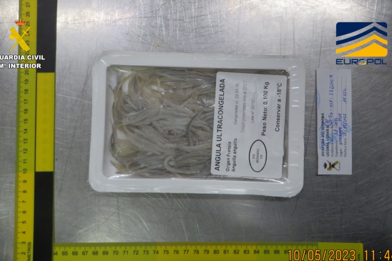 Desarticulada una organización criminal dedicada al comercio internacional de anguila europea precocinada