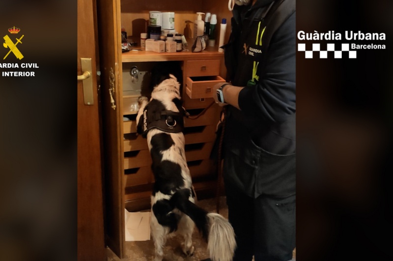 Desarticulado en Barcelona un grupo criminal dedicado a la trata de seres humanos con fines de explotación sexual