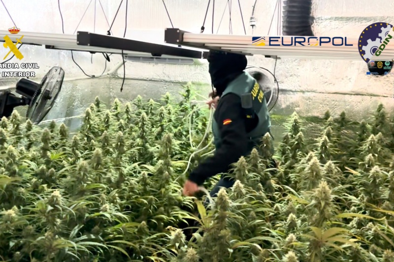 Desarticulada una organización criminal dedicada a la introducción de grandes cantidades de cocaína en España y Portugal procedente de Hispanoamérica