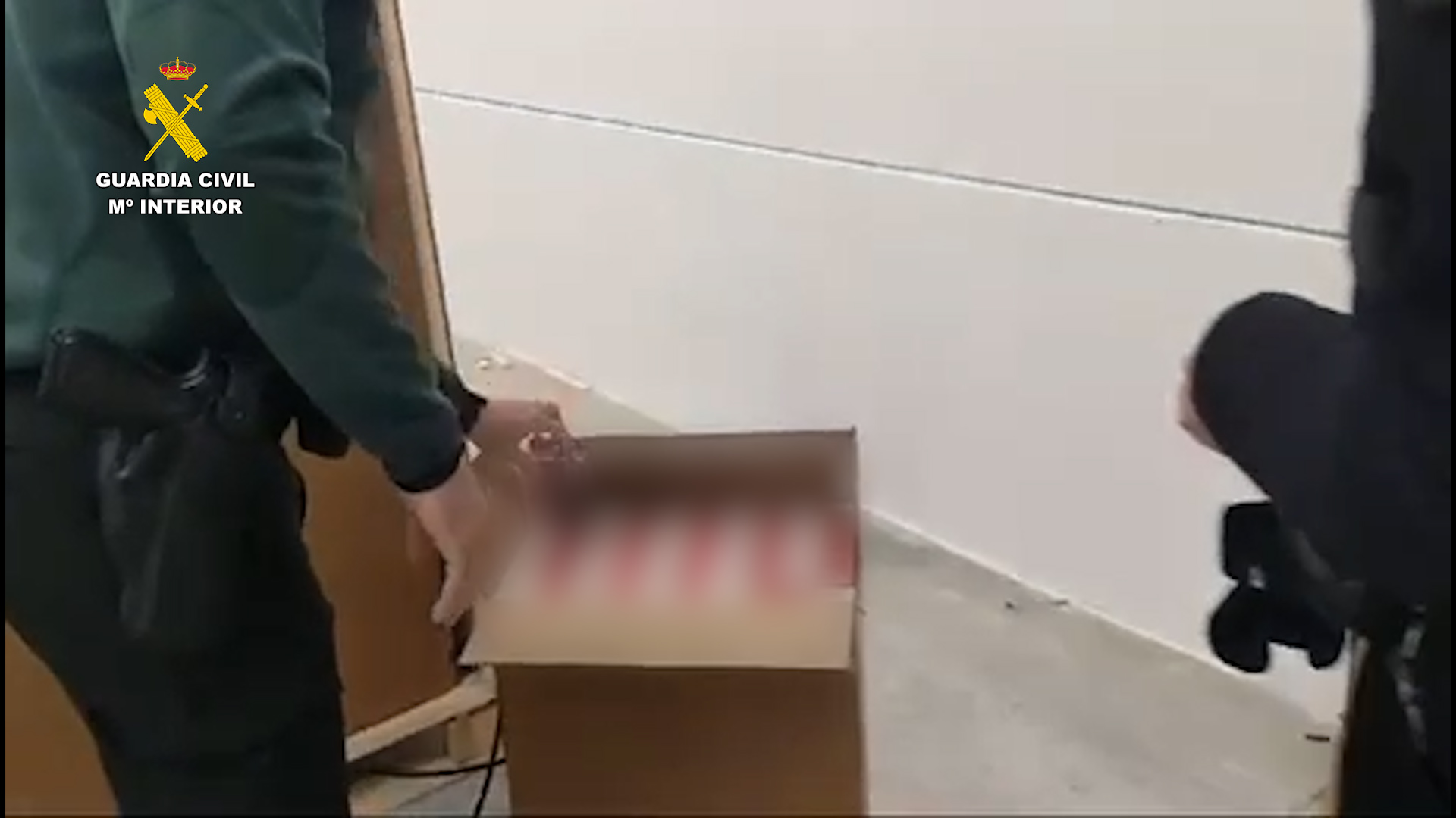 Incautadas más de 890.000 cajetillas de tabaco ilegal en Sevilla
